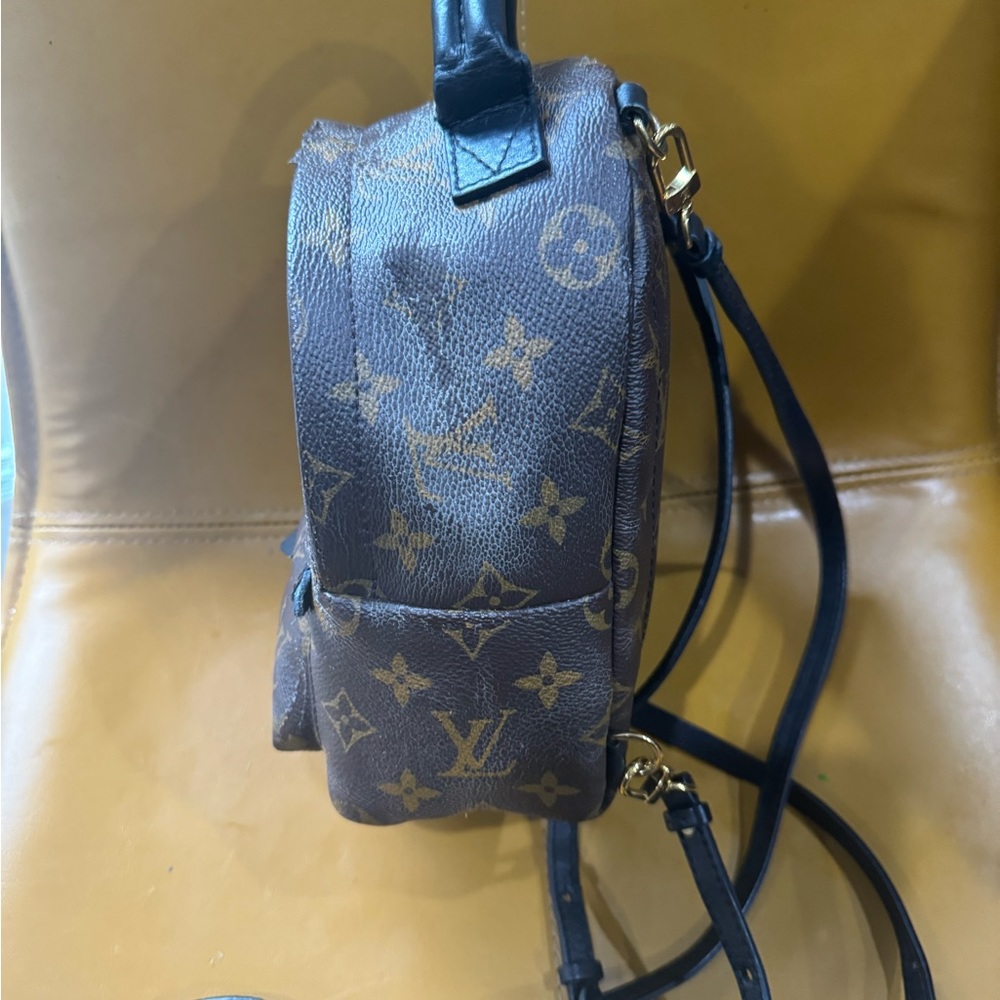 Louis Vuitton Monogrammed Palm Springs mini back pack - Picture 5 of 16